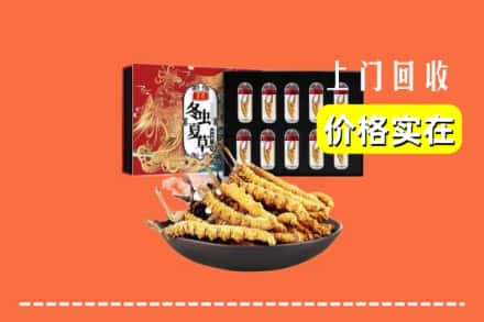 杭州市萧山回收冬虫夏草